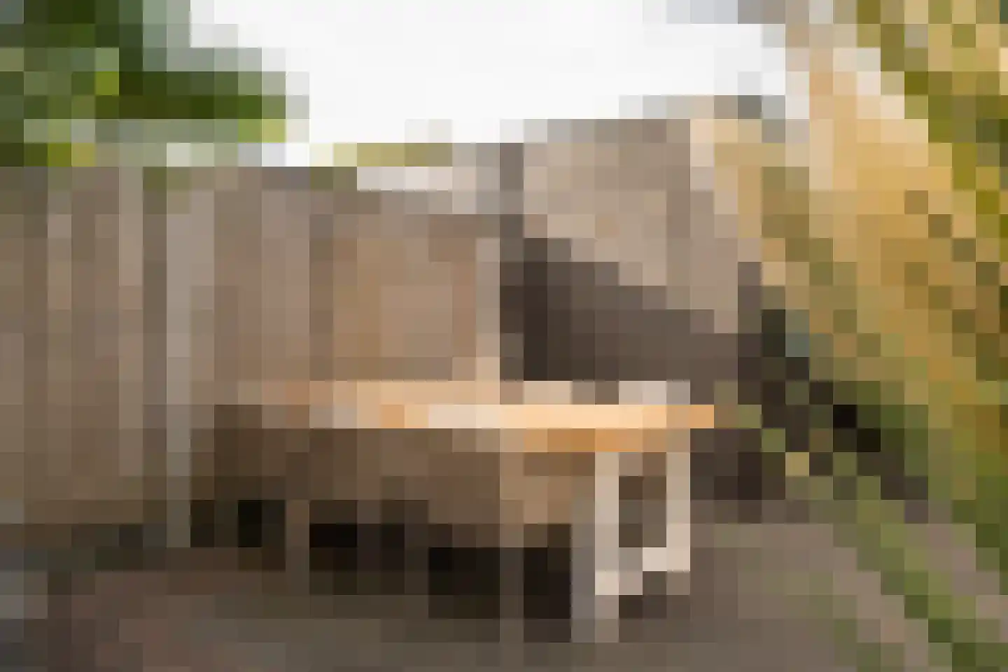 Thorbeckesingel 11 Leerdam thumbnail 45