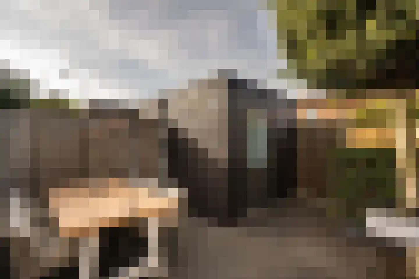 Thorbeckesingel 11 Leerdam thumbnail 46