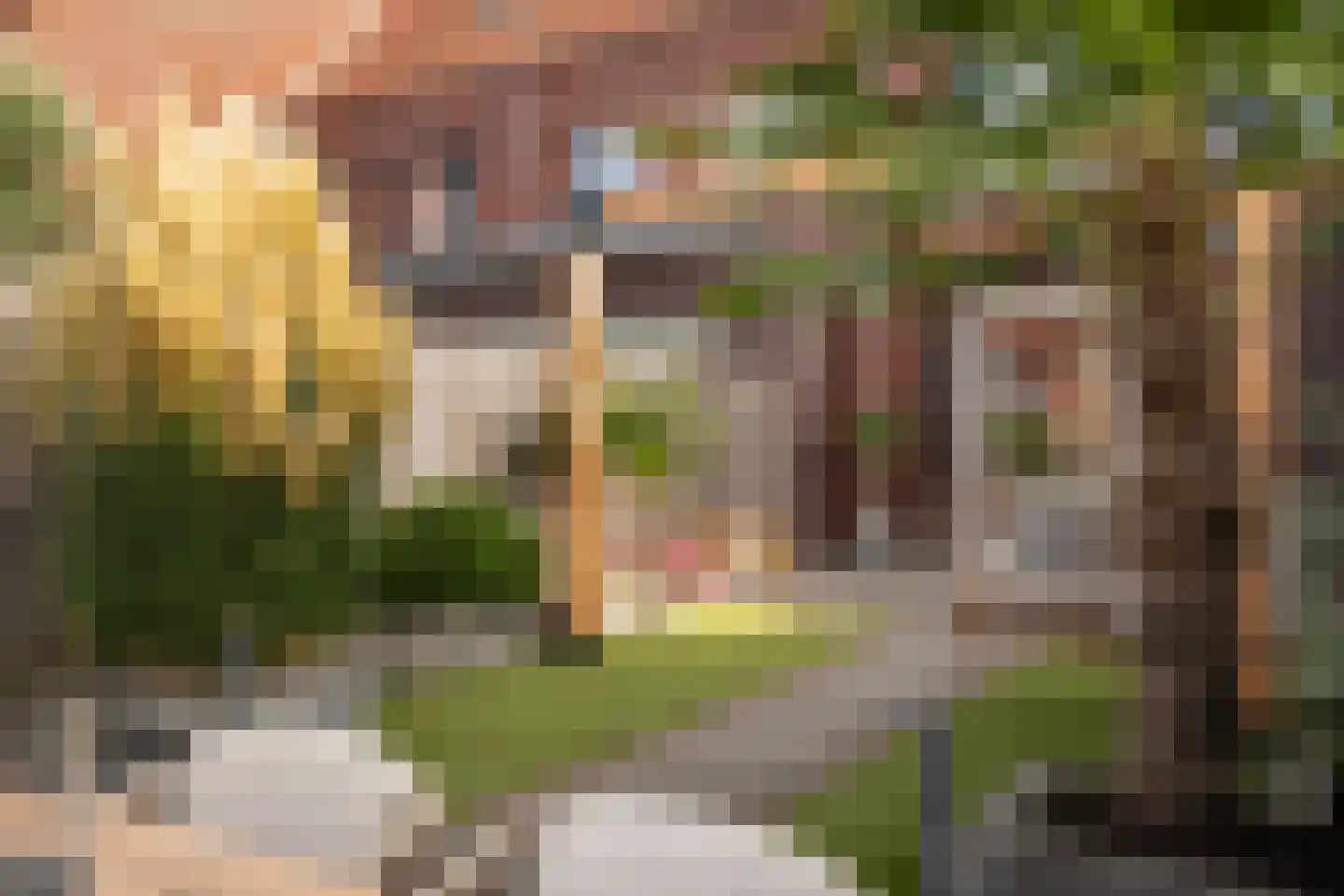 Thorbeckesingel 11 Leerdam thumbnail 48