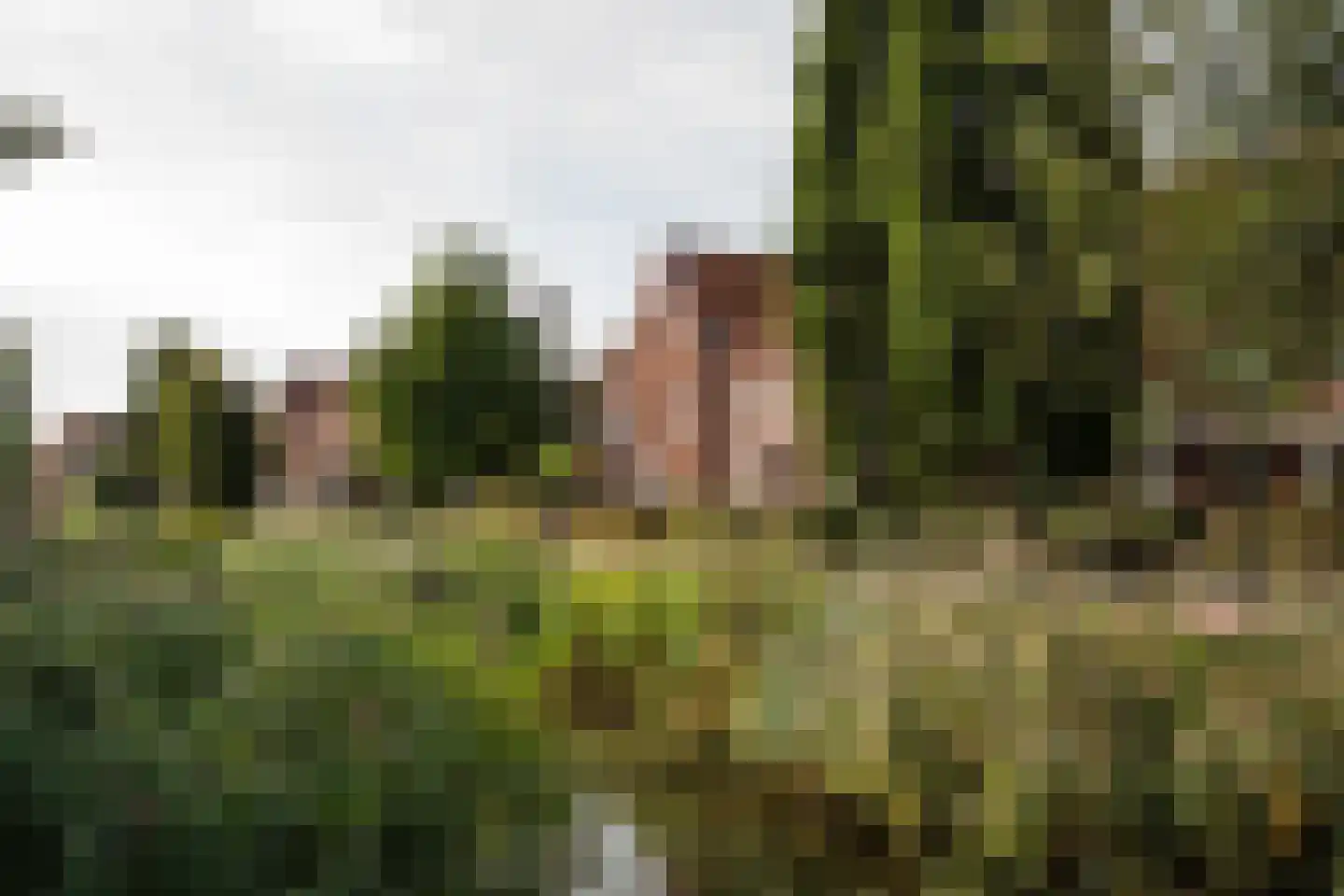 Thorbeckesingel 11 Leerdam thumbnail 53