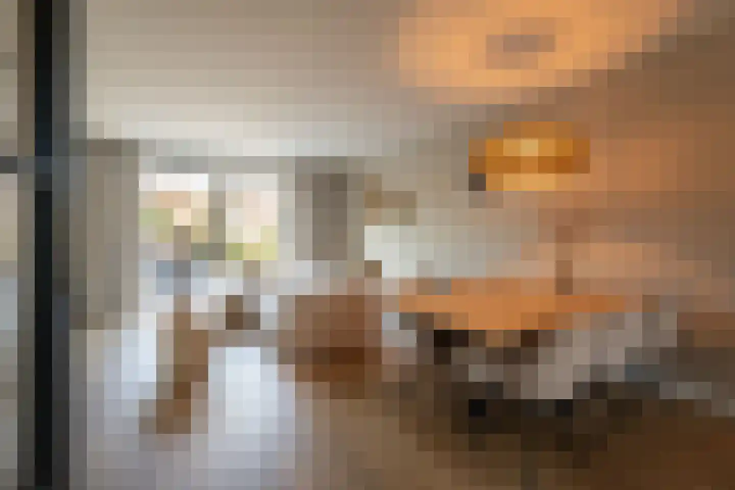 Thorbeckesingel 11 Leerdam thumbnail 9