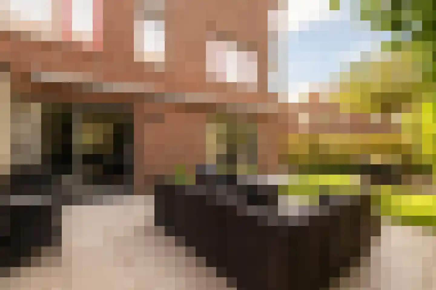 Thorbeckesingel 13 IJsselstein thumbnail 39