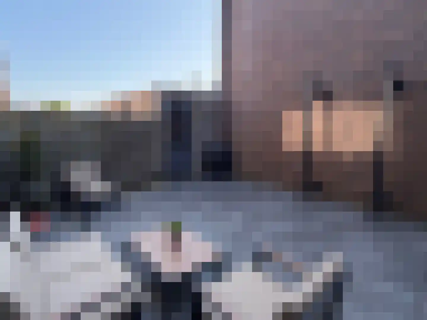 Thorbeckesingel 6 IJsselstein thumbnail 4
