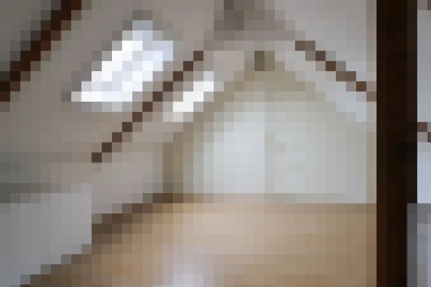 Thorbeckestraat 1 Franeker thumbnail 68