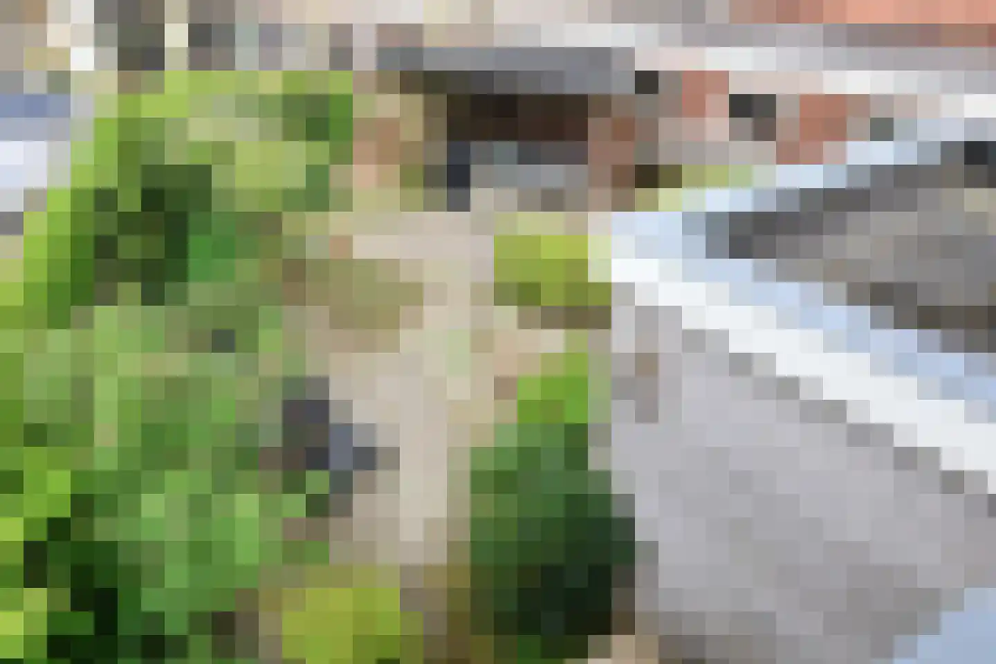 Thorbeckestraat 1 Franeker thumbnail 72