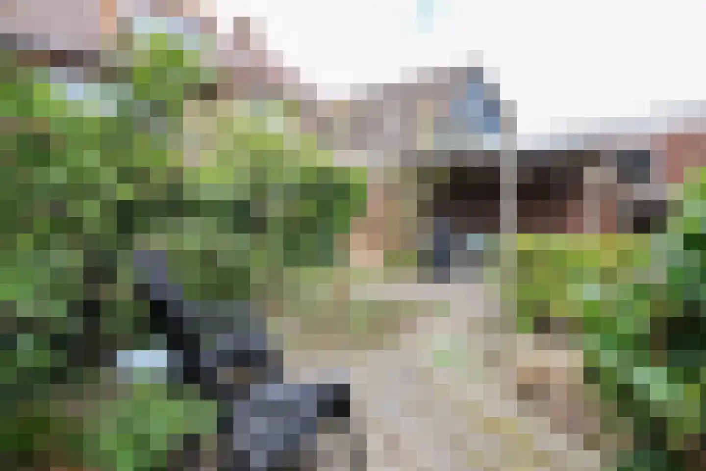 Thorbeckestraat 1 Franeker thumbnail 77
