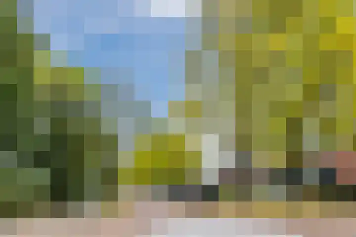 Thorbeckestraat 10 Culemborg thumbnail 35