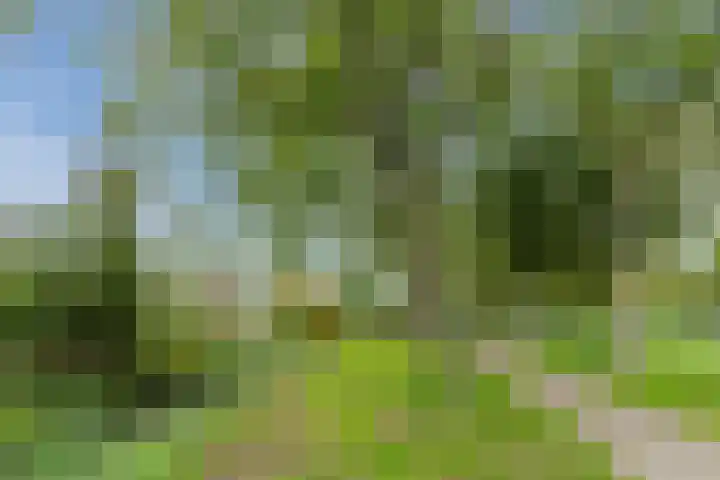 Thorbeckestraat 10 Culemborg thumbnail 36