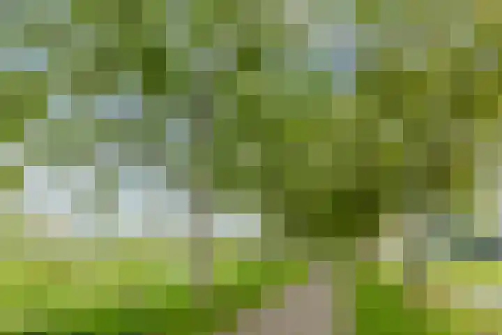 Thorbeckestraat 10 Culemborg thumbnail 37
