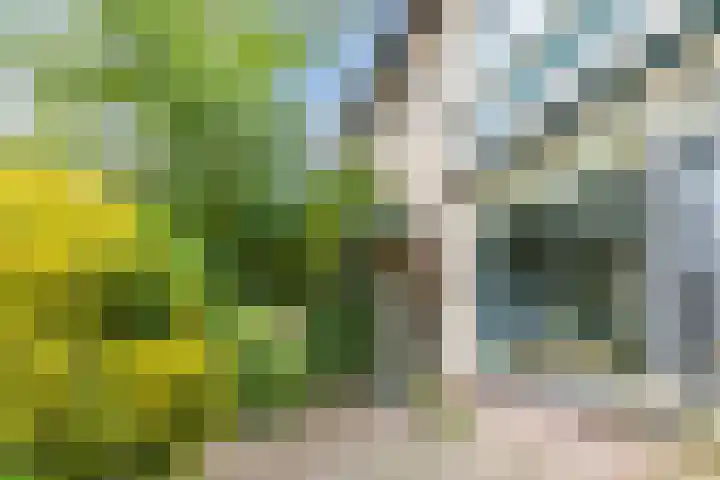 Thorbeckestraat 10 Culemborg thumbnail 4