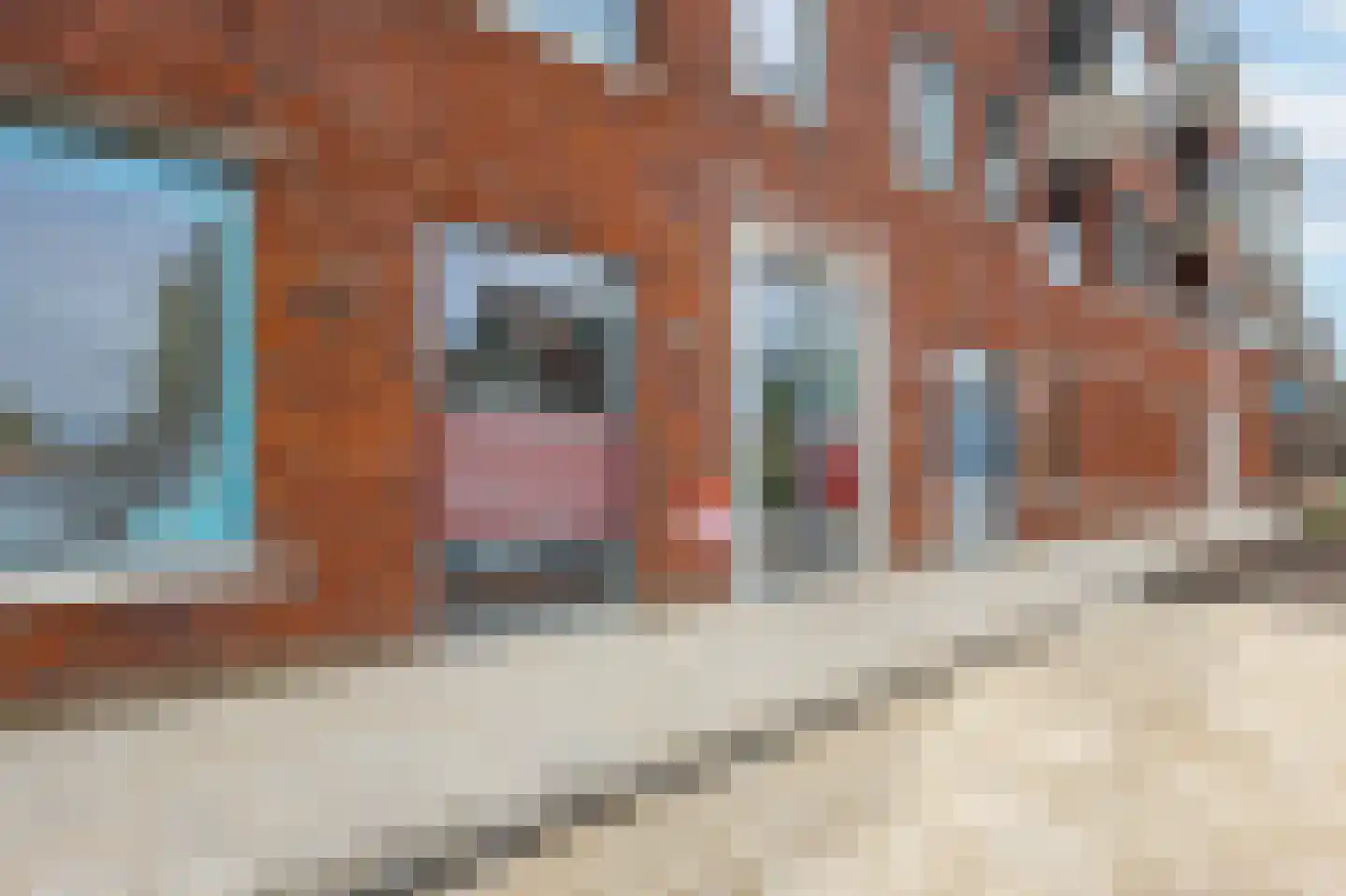 Thorbeckestraat 10 Hardinxveld-Giessendam thumbnail 20