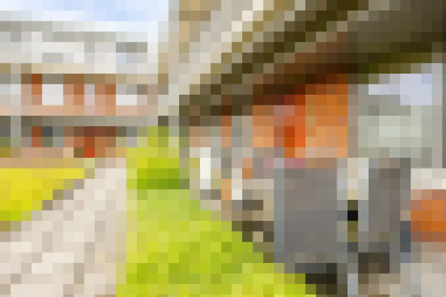 Thorbeckestraat 10 Hardinxveld-Giessendam thumbnail 23