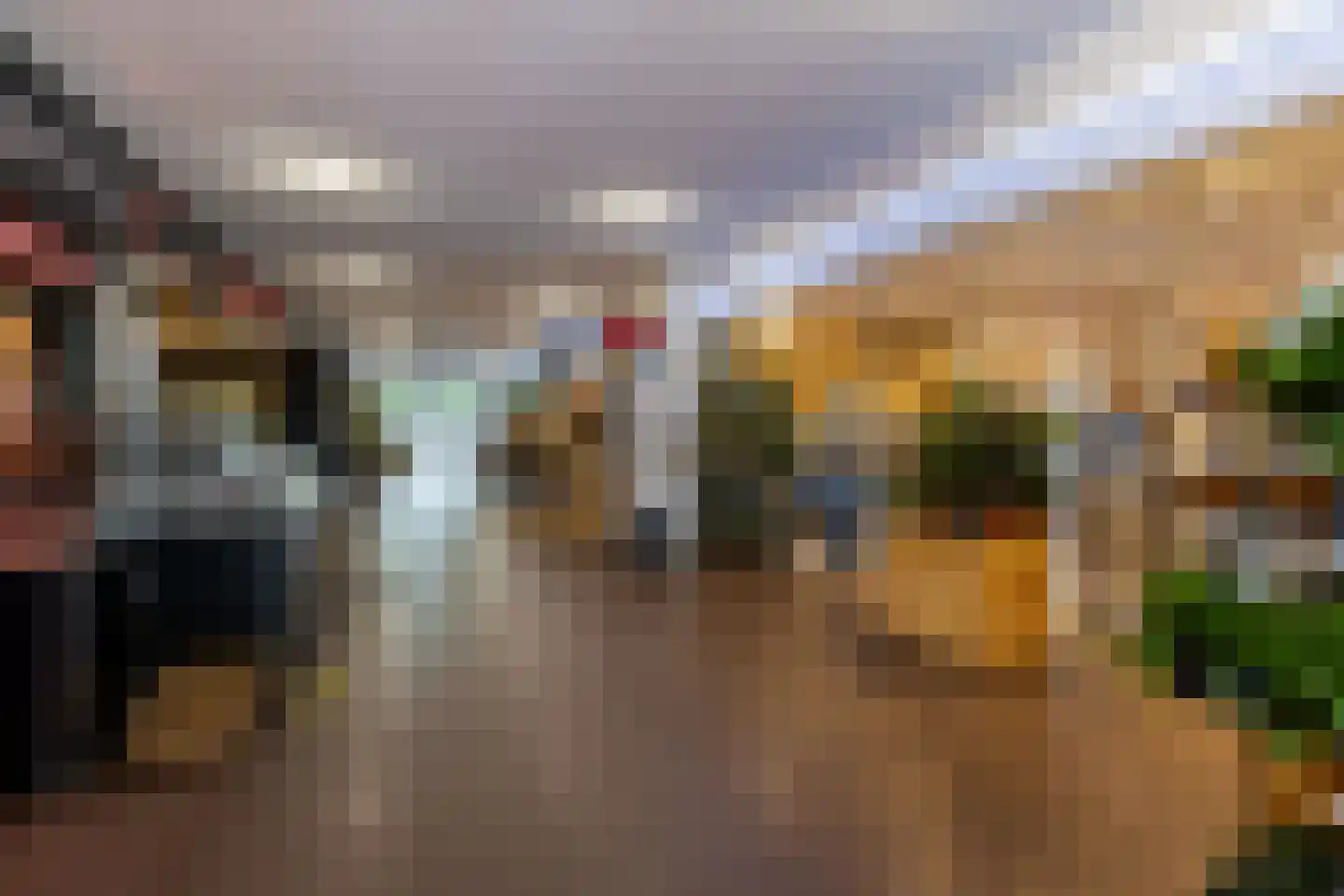 Thorbeckestraat 10 Hardinxveld-Giessendam thumbnail 29