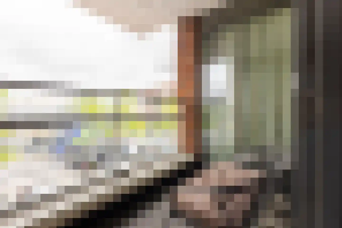 Thorbeckestraat 10 Hardinxveld-Giessendam thumbnail 7