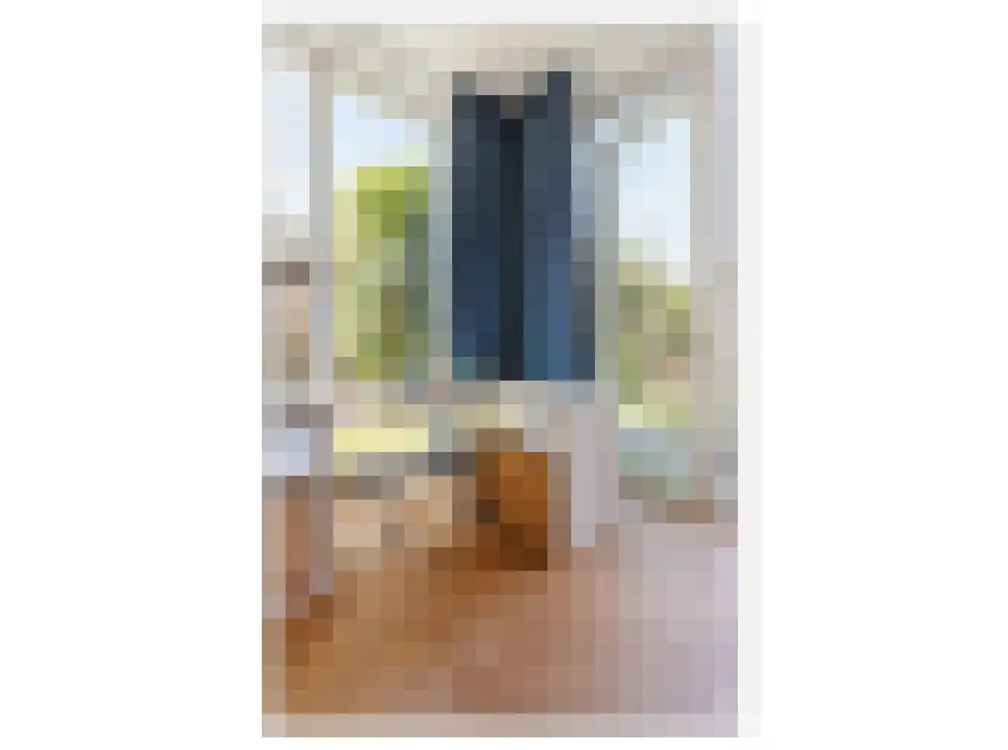 Thorbeckestraat 10 Huizen thumbnail 14