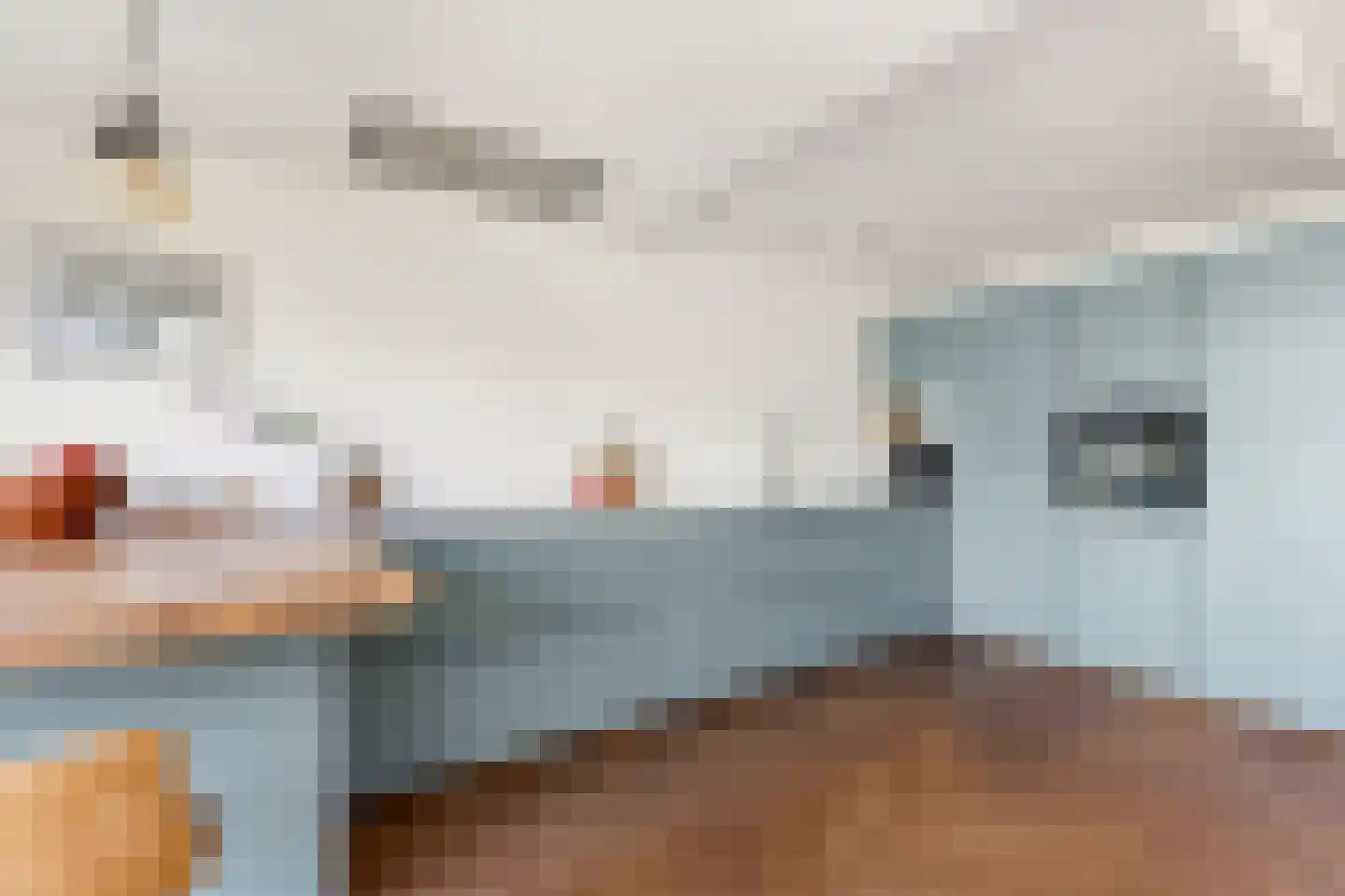 Thorbeckestraat 10 Huizen thumbnail 17