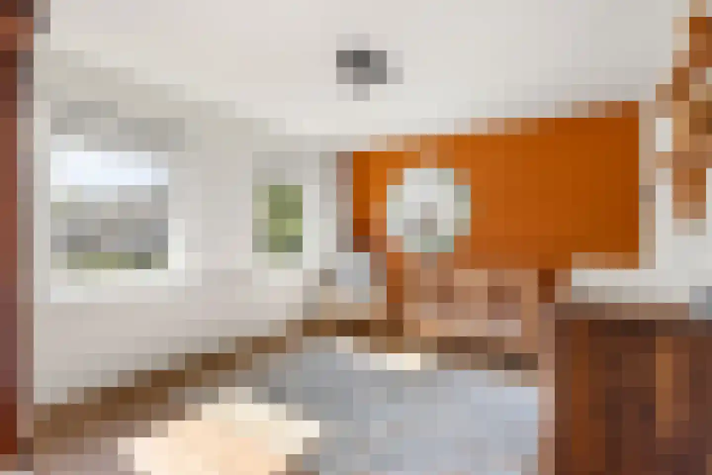 Thorbeckestraat 10 Huizen thumbnail 23