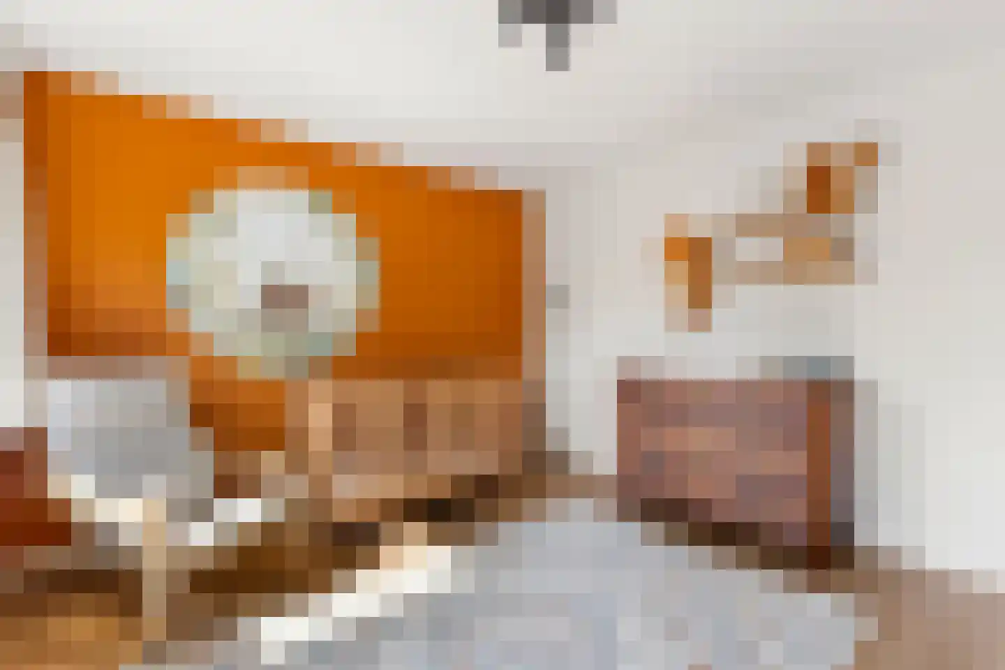 Thorbeckestraat 10 Huizen thumbnail 25