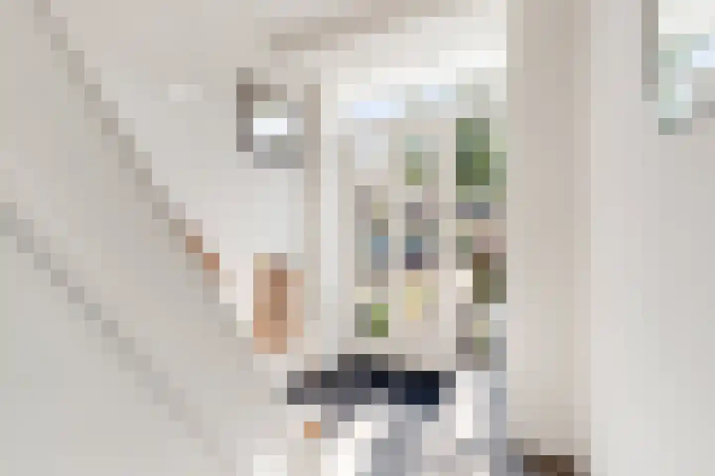 Thorbeckestraat 10 Huizen thumbnail 5