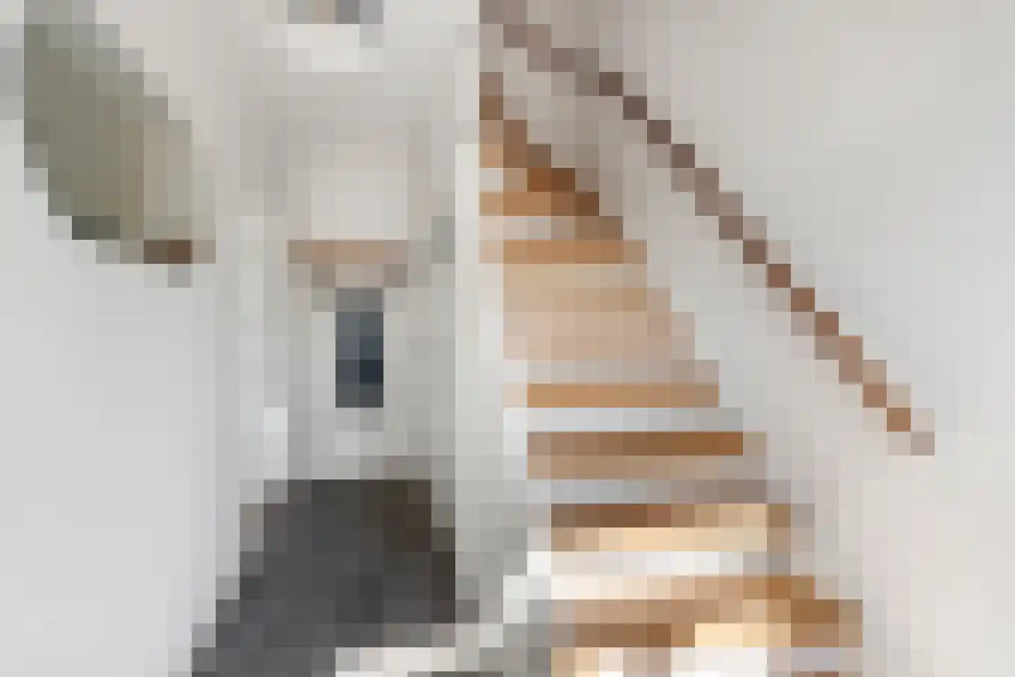 Thorbeckestraat 10 Huizen thumbnail 6