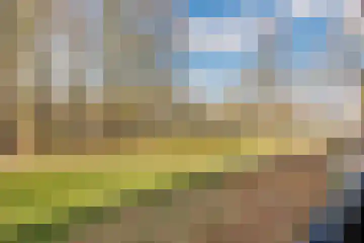 Thorbeckestraat 10 Wageningen thumbnail 16