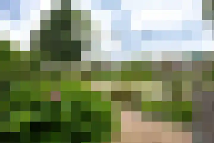 Thorbeckestraat 101 Zuidhorn thumbnail 6