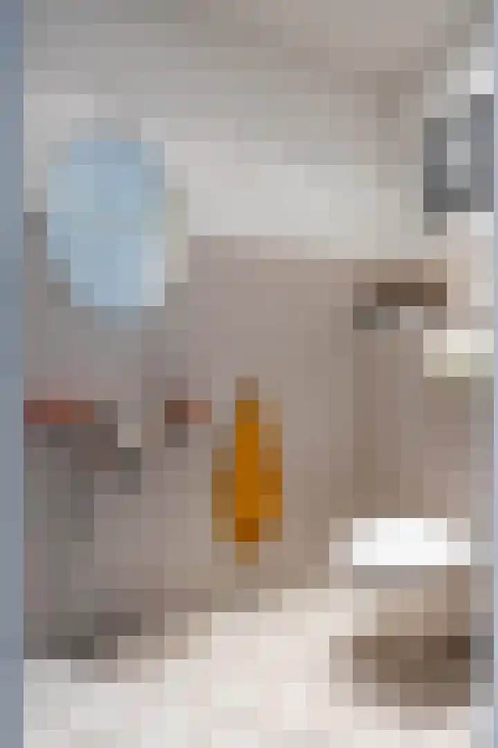 Thorbeckestraat 101 Zuidhorn thumbnail 8