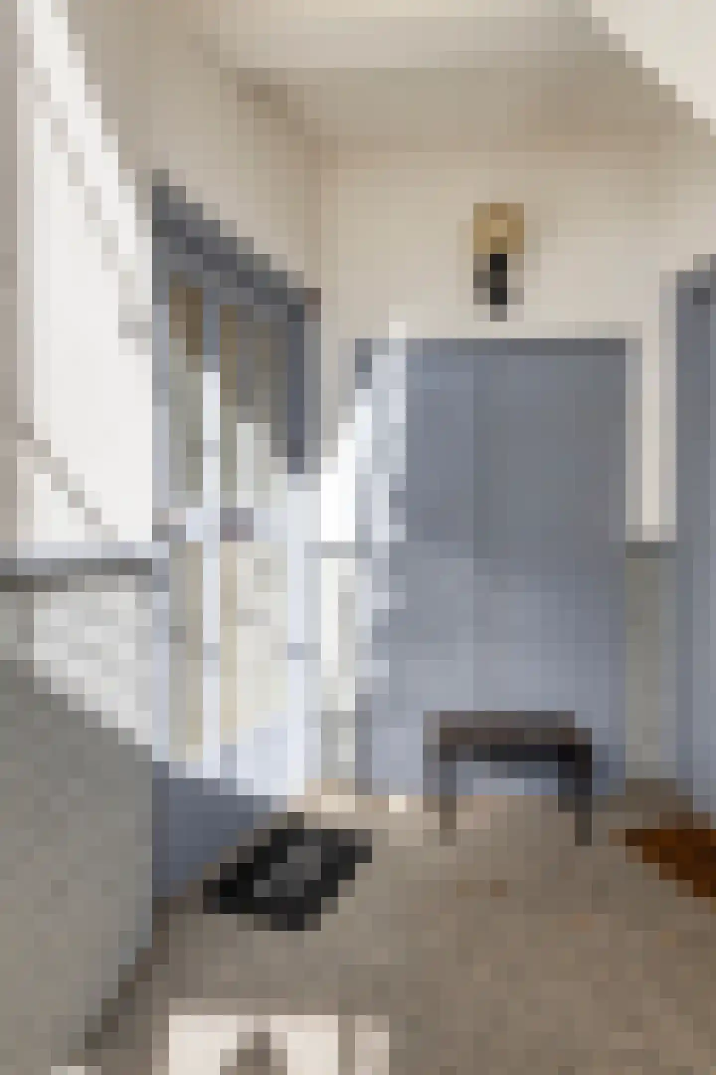 Thorbeckestraat 102 Hendrik-Ido-Ambacht thumbnail 5