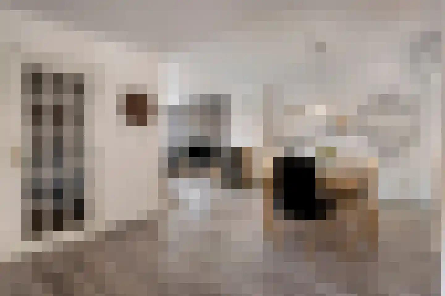 Thorbeckestraat 102 Oss thumbnail 10