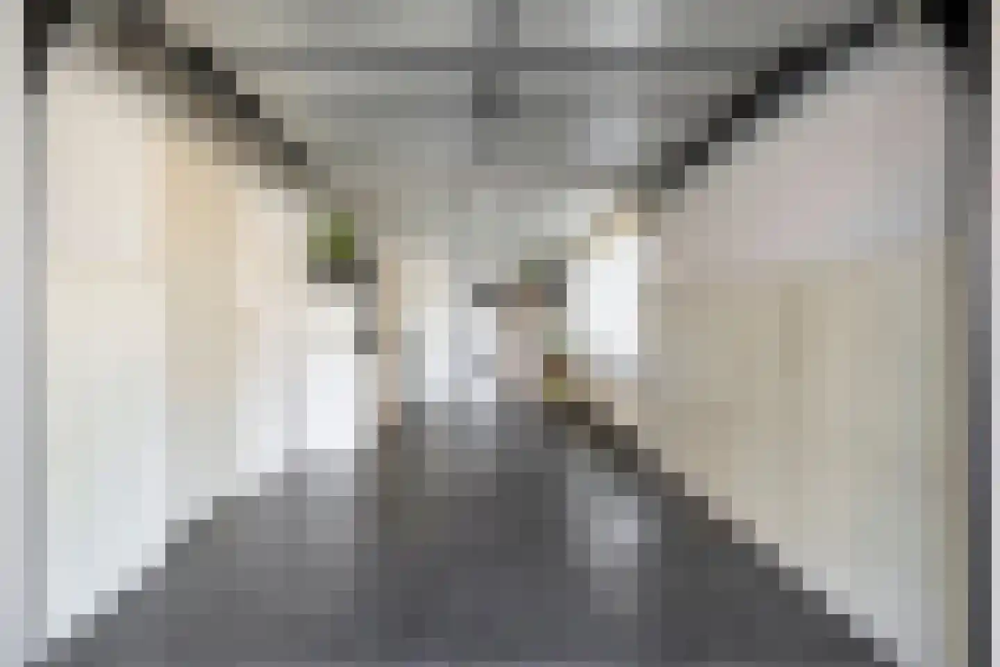 Thorbeckestraat 102 Oss thumbnail 20