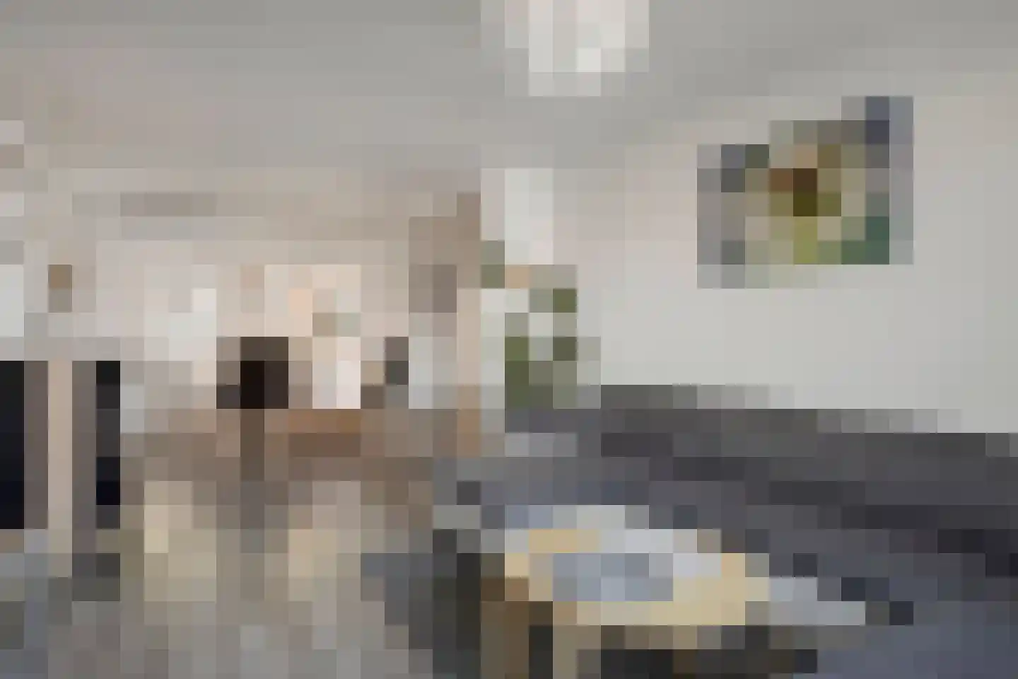Thorbeckestraat 102 Oss thumbnail 5