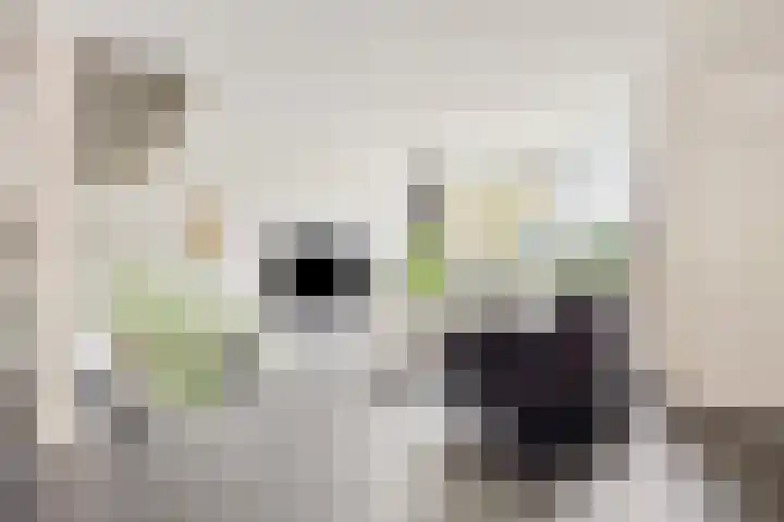 Thorbeckestraat 109 Groenlo thumbnail 9