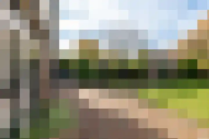 Thorbeckestraat 11 Geldermalsen thumbnail 23