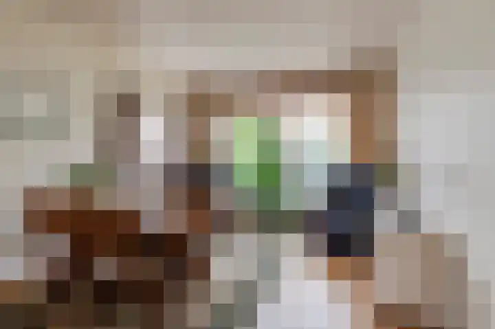 Thorbeckestraat 11 Geldermalsen thumbnail 6