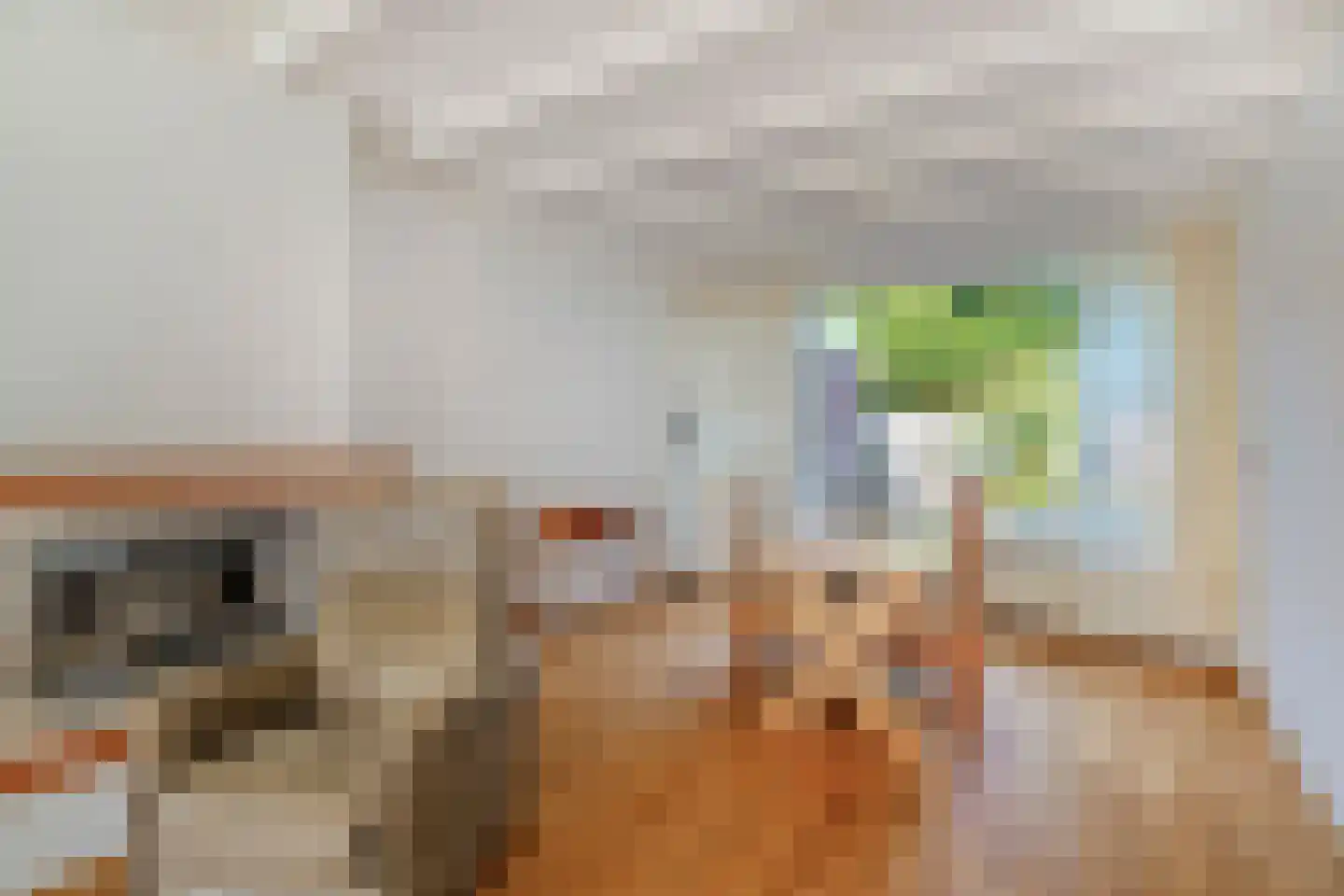 Thorbeckestraat 11 Nunspeet thumbnail 23
