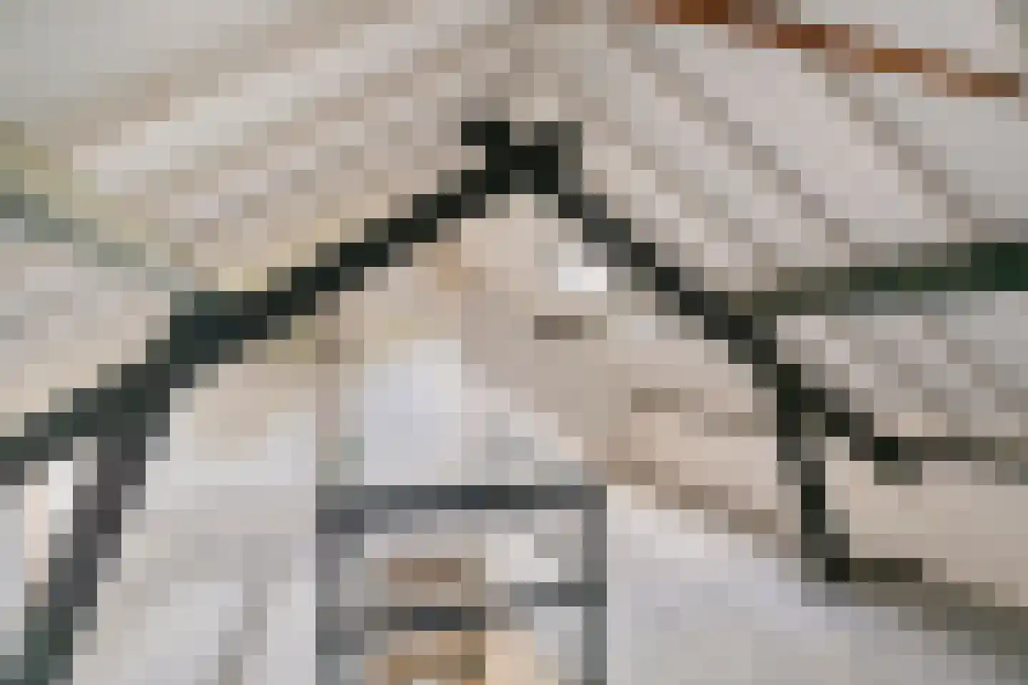 Thorbeckestraat 11 Nunspeet thumbnail 38