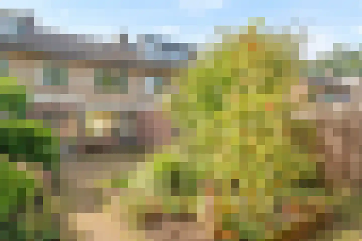 Thorbeckestraat 11 Nunspeet thumbnail 42
