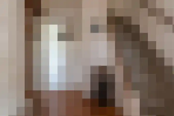 Thorbeckestraat 119 Veendam thumbnail 14