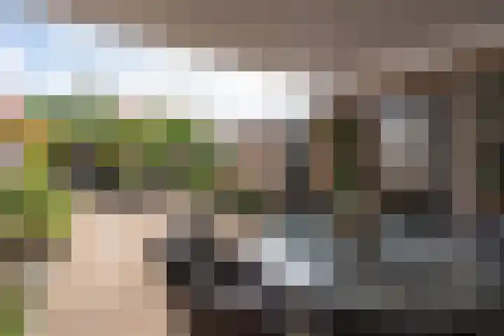 Thorbeckestraat 119 Veendam thumbnail 34