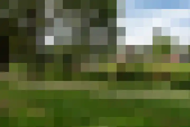 Thorbeckestraat 119 Veendam thumbnail 38