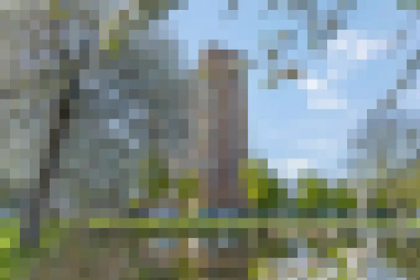 Thorbeckestraat 122 Wageningen thumbnail 21