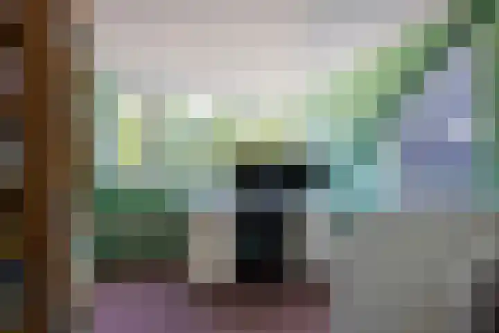 Thorbeckestraat 13 Nunspeet thumbnail 27