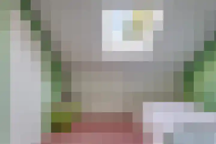 Thorbeckestraat 13 Nunspeet thumbnail 30