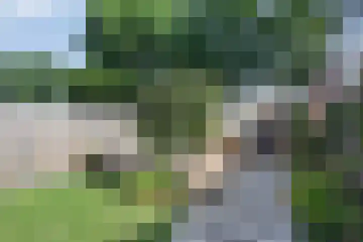 Thorbeckestraat 13 Nunspeet thumbnail 31