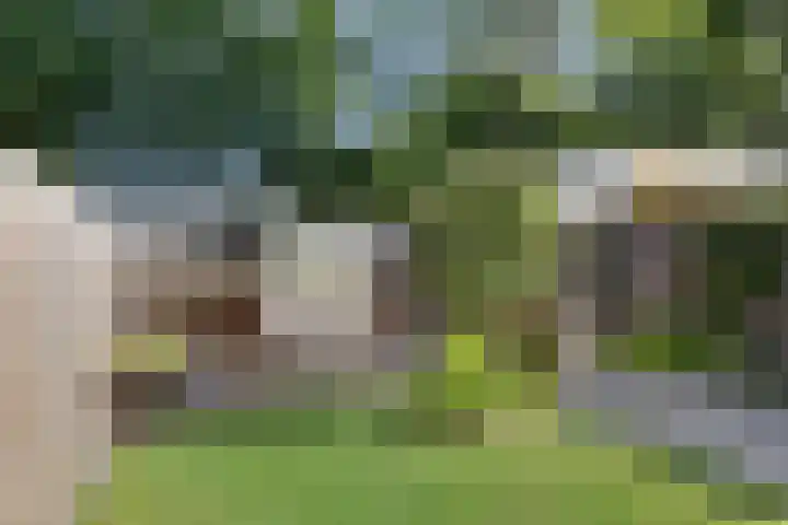 Thorbeckestraat 13 Nunspeet thumbnail 32