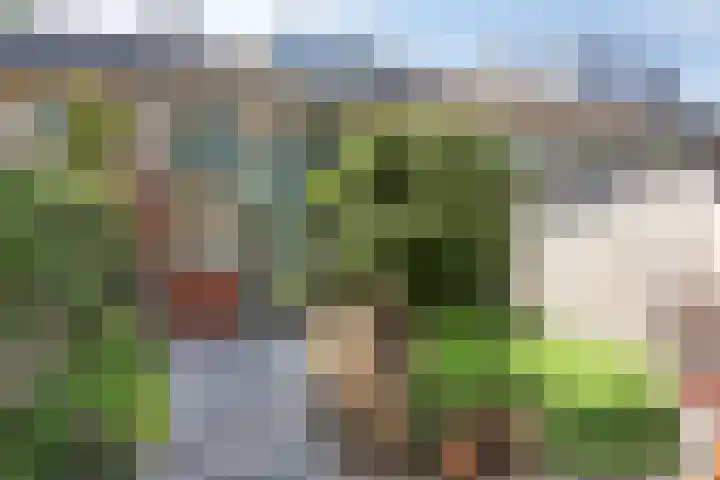 Thorbeckestraat 13 Nunspeet thumbnail 35