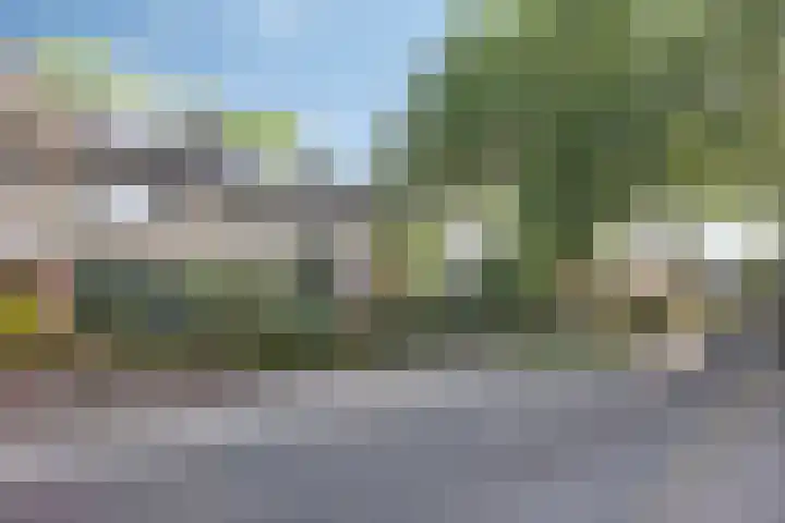 Thorbeckestraat 13 Nunspeet thumbnail 5