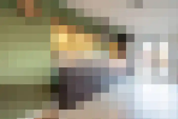 Thorbeckestraat 13 Ulft thumbnail 14