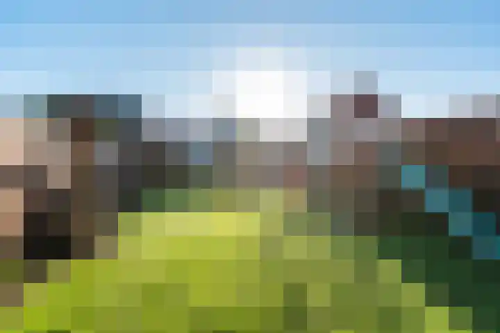 Thorbeckestraat 13 Ulft thumbnail 4