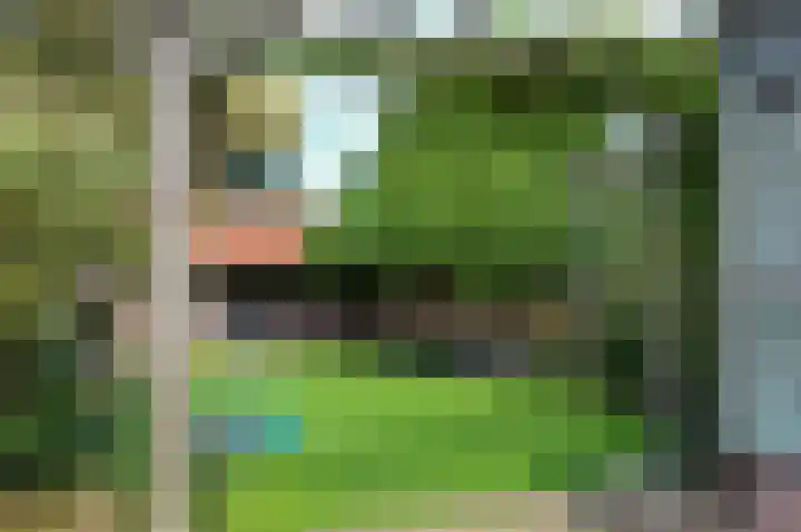 Thorbeckestraat 13 Ulft thumbnail 45